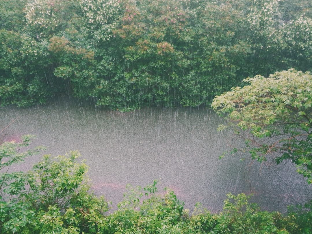 Alerta Chuva Intensa: Como se Proteger de Temporais e Enchentes
