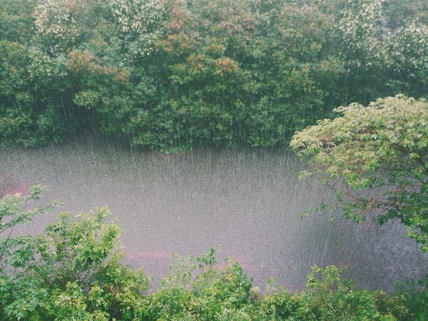 Alerta Chuva Intensa: Como se Proteger de Temporais e Enchentes