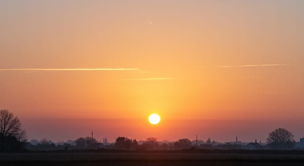 Mensagens Fofas de Bom Dia para Iluminar o Dia de Alguém