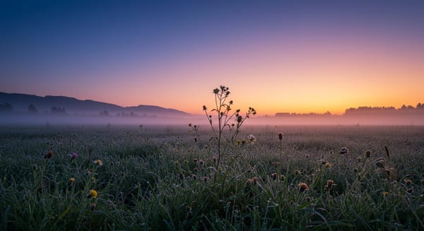 Oração de Bom Dia: 15 Mensagens Inspiradoras para Começar Bem
