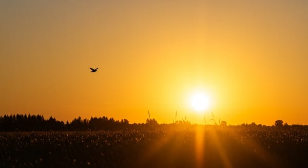 Bom Dia Fé: 15 Mensagens Inspiradoras para Começar o Dia com o Coração Cheio de Esperança