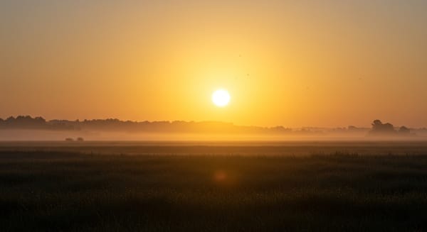 Frases de Deus de Bom Dia: Inspire Seu Amanhecer com Fé