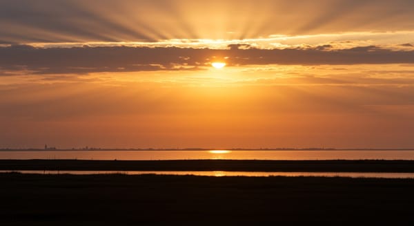 A Força Que Renova: Frases de Esperança Para Iluminar Seus Dias