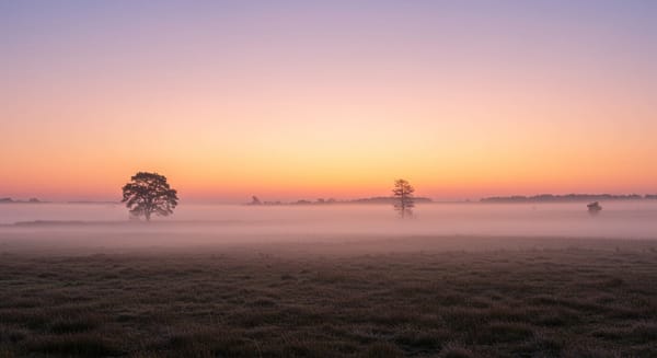 Mensagem de Bom Dia: Inspire o Seu Amanhecer e o de Quem Você Ama