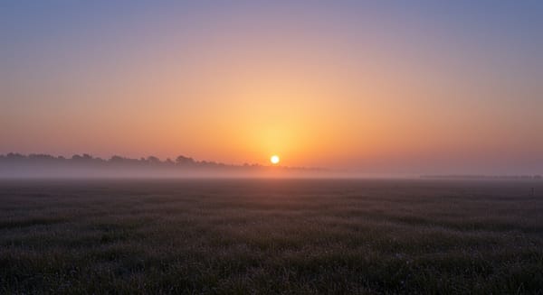 Bom Dia com Reflexão: Ilumine o Seu Dia e o dos Outros